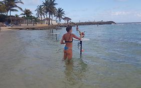 Caribbean Sea View